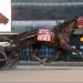 Credit Con prevails in Meadows top trot