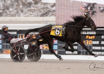 Front-end works for Hot Flash Kimmy