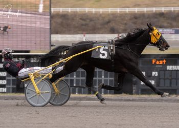 First over trip no problem in Meadows Open