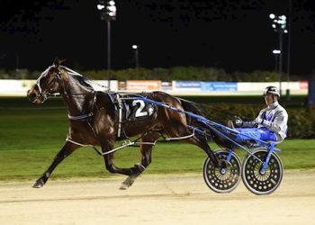 Bidding reaches $25,000 on Montana DJ in latest auction