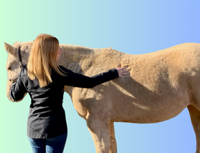 Equine Guelph dubs January Nutrition Education Month