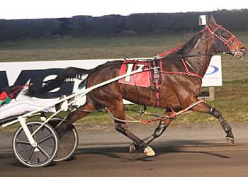 Stratton tops Big M drivers