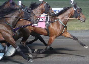 Eight to contest Dover Downs Open Trot