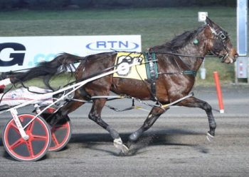 Tony’s Mom gets it done at Big M