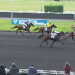 Gamin Jaba wins Prix du Chesnay at Vincennes 2 Gamin Jaba wins Prix du Chesnay at Vincennes