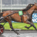 Koctel du Dain wins Gr II Prix Ephrem Houel