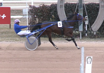 Catania R wins Sennyey Memorial at Kincsem Park