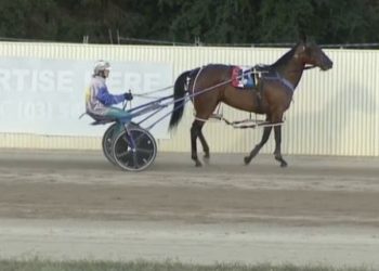 Dieing Art goes from strength to strength