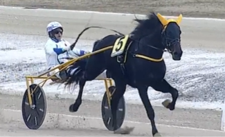 Gamin Jaba wins for Bazire 2