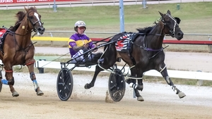 Hillier’s mare proving to be a Lil Ripper