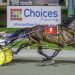 Pinjarra Cup possible target for comeback pacer