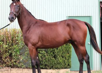 Carmer Standardbreds: It’s a family thing