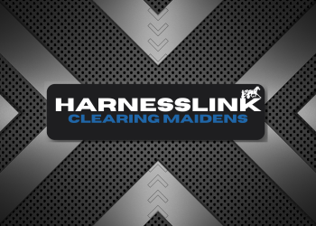 Clearing Maidens – Champion mare leaves an exciting Art Major filly