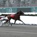 Dark Pool pounces to paydirt in Freehold AHDC trot
