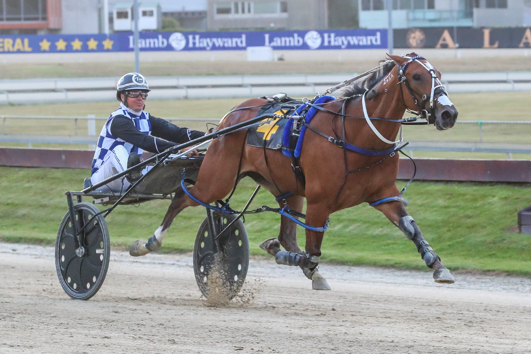 Stonewall closes in on milestones 2