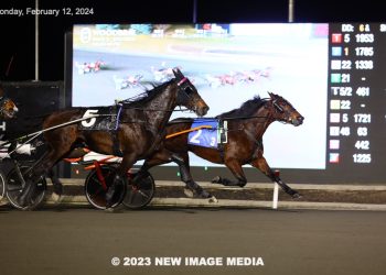 Amigo Volo goes back-to-back