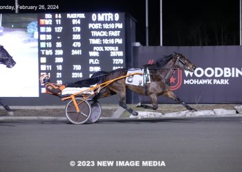 Amigo Volo nabs third straight