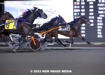 Revenge for Amigo Volo in $36,000 Preferred