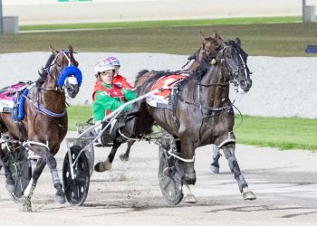 Weekly spotlight on breeding