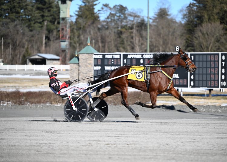 USA Harness Racing News Today | USA Racing News- Harnesslink