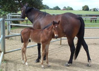 The passing of an unsung heroine