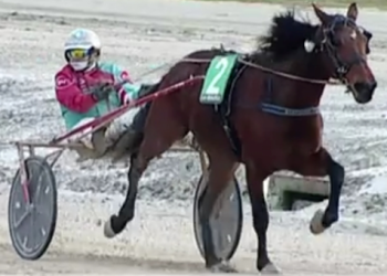 Chance EK wins Grand Premio Mario Locatelli