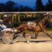 Convincing winners take co-features at Batavia Downs 2 Convincing winners take co-features at Batavia Downs