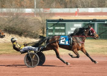 Bomb boosts Buter to six-win day