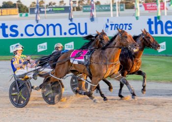 Weekly spotlight on breeding