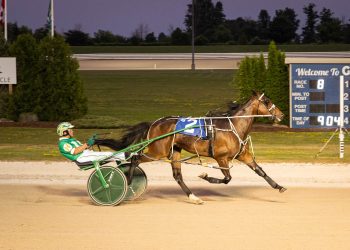 Hollys Treasure gets the gold