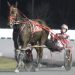 Carter makes dreams come true at Rosecroft 2 Carter makes dreams come true at Rosecroft