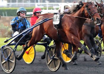 Posts drawn for €400,000 Prix De France