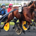 Posts drawn for €400,000 Prix De France