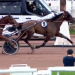 Krak d’Azur wins Gr. III Prix Henri Callier