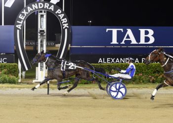 Little Spike latest winner for Piercys