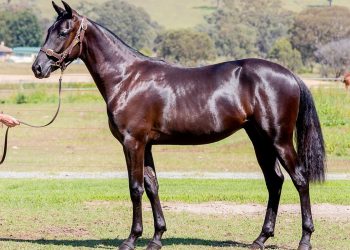 Expected early goers from Emma Day