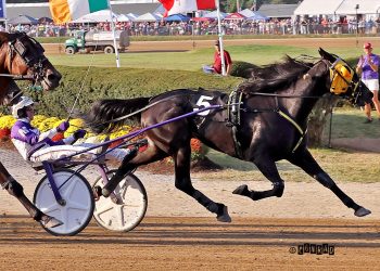 Brookview Bullet keeping the excitement for Graber