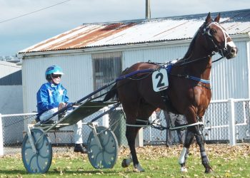 Allstars hope to add to Alabar record