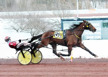Cold conditions don’t stop the action at Pocono