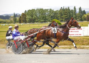 Lester Smith – Law and a life in harness racing
