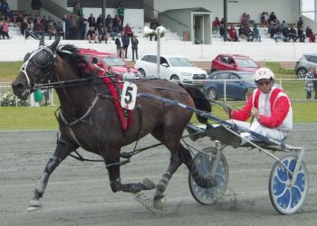 Former hack adds to Ward’s super fund