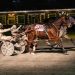Longshots reign at muddy Batavia