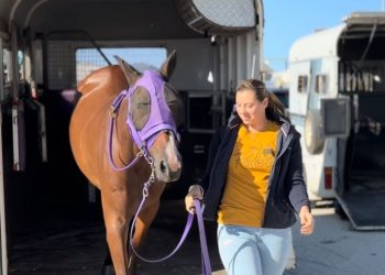 Rory’s making her mark on harness racing