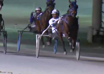 Pirate Booty plunders Fraser Preferred