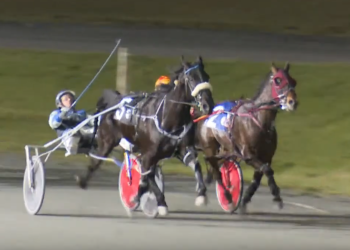 Sunshine Boy rises again