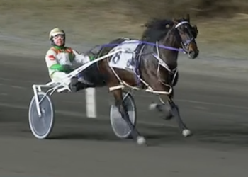 East Coaster wins Ontario debut