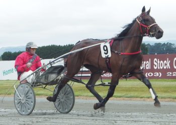 Gray hoping for sunny day at Gore