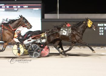 Tequila Talkin make triumphant return to winners’ circle