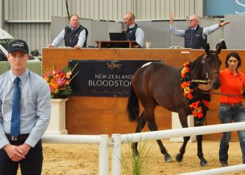 War Party gets the sales started