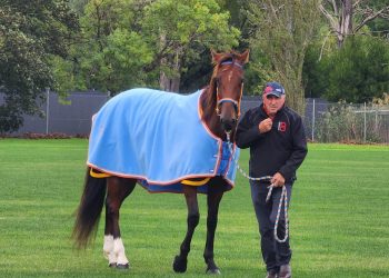Charlie Mizz celebrates his 70th birthday in style